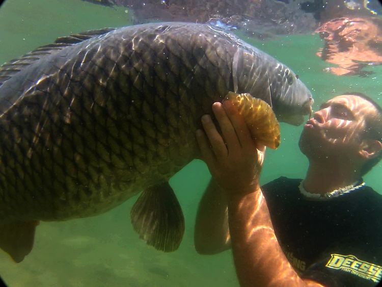 Adunate! - 11576883498081018174711526423575n.png